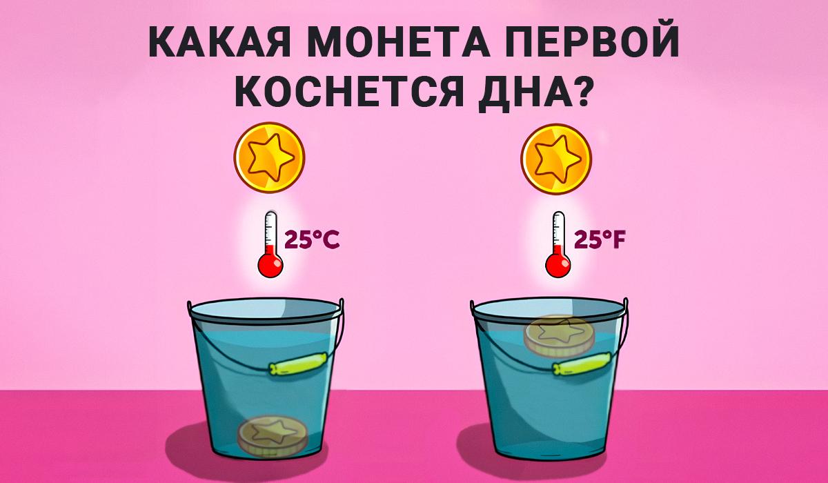 Одговор на тест интелигенције / колаж УНИАН