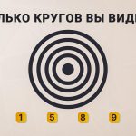 Колико кругова видите на слици: слагалицу коју треба решити за