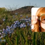 Магична слагалица за пажљиве: треба да откријете тајну ливаде зумбула