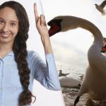 Морате пронаћи лукаву свраку међу галебовима и лабудовима за 9