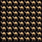 Ребус за оне који имају одличан вид: морате пронаћи камилу